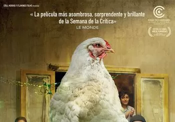 Plumas en Manacor