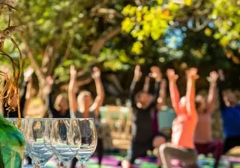 Clase de yoga entre viñas + cata + maridaje en Barcelona