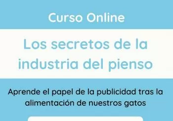 Curso online - Los secretos de la industria del pienso en Barcelona