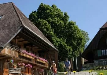 Tagesausflug nach Bern inkl. Käse-Verkostung en Switzerland