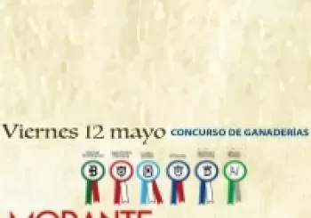CORRIDA DE TOROS a CÁDIZ