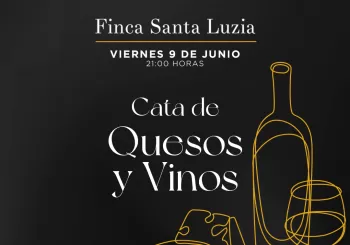 Cata de Quesos y Vinos en Alicante