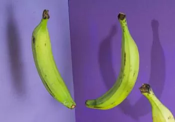 Mangú Dominican Art Festival en Barcelona