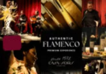 Espectáculo de Flamenco + Visita al Museo de la Guitarra en Barcelona