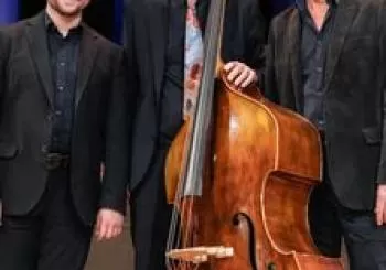 Jazz Ohne Stress Vol. 19 en GRAFSCHAFT