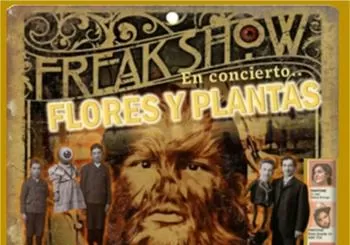 Flores y Plantas - Sesión Vermú en Madrid