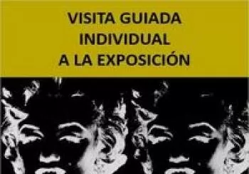 VIS. GUIADA INDIV. - EXP. OBRAS CONTEMPORÁNEAS en SEVILLA