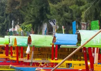 Xochimilco y sus Canales en Mexico City - CDMX