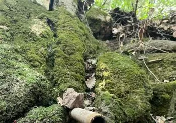 XXIIIa. Caminada de Viladomiu Nou