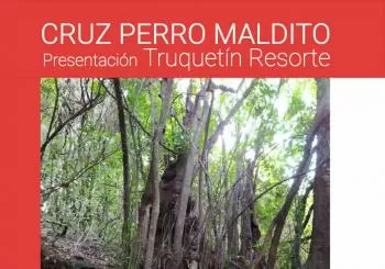 CRUZ PERRO MALDITO en Santa Cruz de Tenerife
