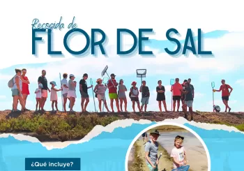 Visita a la salina + Recogida de flor de sal en Cádiz