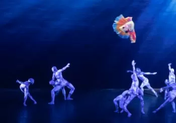 COMPANY WAYNE McGREGOR en Madrid