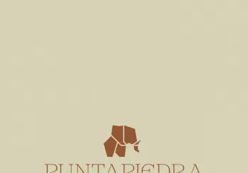 OPENING PUNTA PIEDRA en ALICANTE