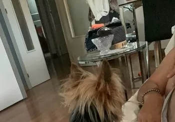 ANUEL VS FEID EDITION en Palma de Mallorca