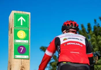 Cicloturismo: Pedaleando entre las viñas de Benicarló en CASTELLÓN/CASTELLÓ