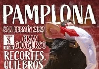 CONCURSO DE ANILLAS en NAVARRA