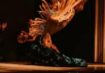 Espectáculo flamenco Tablao La Pacheca en BARCELONA