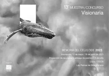 13ª Muestra Concurso Visionaria