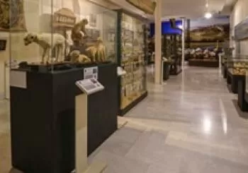 Yincana Museo Aguilar y Eslava en Cabra