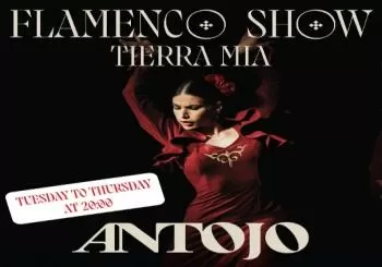 Antojo Espectáculo Flamenco “Tierra Mía”