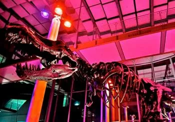 California Academy of Sciences NightLife Admission Ticket SF Bay Area