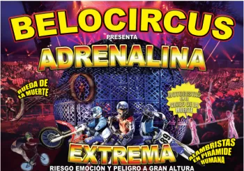 BELOCIRCUS en AVILA