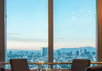 Experiencia Giratoria Bellini en Mexico City - CDMX