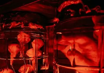 AIM Escape's Psychopath’s Den en London