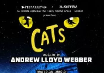 Cats en GENOVA