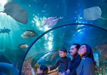 Immergiti nel mondo di Gardaland SEA LIFE Aquarium en Milano