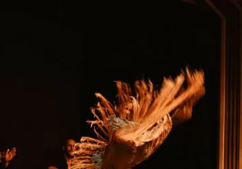 Tablao La Pacheca Barcelona - Show with drink 7 pm