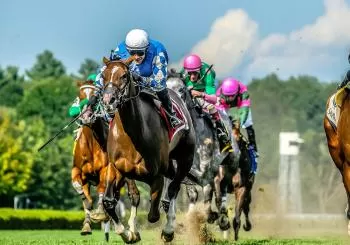 Saratoga Race Course Pick Six Picnic Paddock en Saratoga Springs