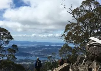 2-Hour Return kunanyi/Mt Wellington Explorer Bus en Hobart