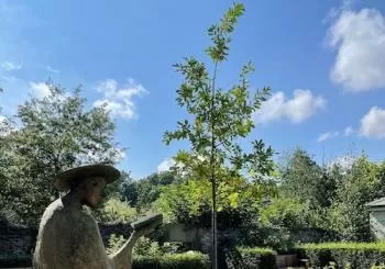Museum of Literature Ireland en Dublin