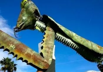 Downtown Las Vegas: Walking Tour of Fremont Street from Past to Present