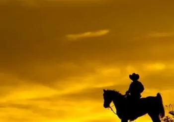 Wild Wild West Sunset Horseback Ride + Dinner en Las Vegas