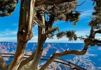 Grand Canyon National Park: Day Trip from Las Vegas with Lunch