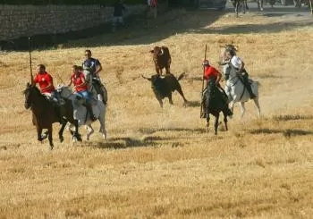 ENCIERRO POR EL CAMPO ARBANCON 2023