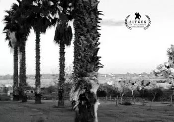 XI MUESTRA LO + PROHIBIDO: EL CINEASTA ESCONDIDO (2022) en MADRID
