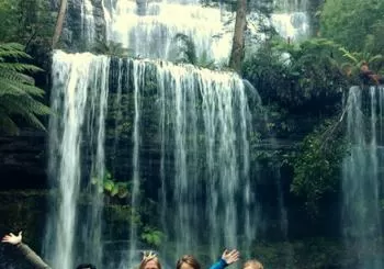 Russell Falls, Mt. Wellington & Tassie Devils Active Day Tour from Hobart