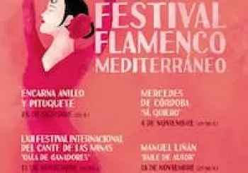 Abonos - VII Festival Flamenco Mediterráneo Alicante