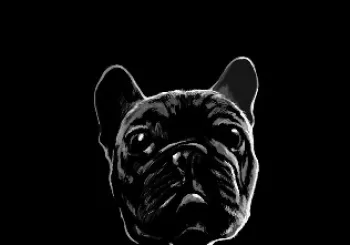 The 40 Bulldogs: Come back again - Viva la fiesta!! en BARCELONA