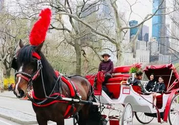 Standard Central Park Horse Carriage Ride en New York