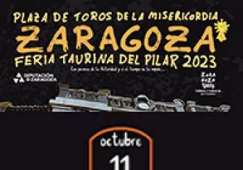 ROSCADEROS y DESENCAJONAMIENTO en ZARAGOZA