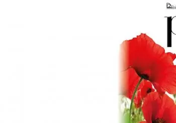 PFM canta De Andre\' MONTECATINI TERME