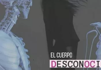 El cuerpo escondido ll. Taller con Izar GAyo en Gijón