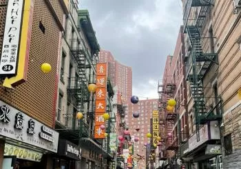 Chinatown New York Walking Food Tour