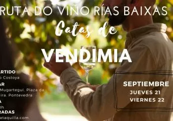CATAS DE VENDIMIA