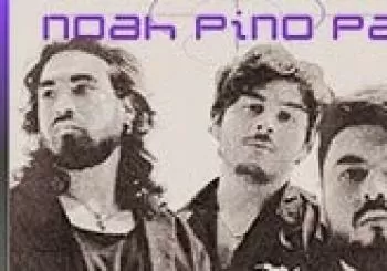 Noah Pino Palo en Col. Centro Monterrey