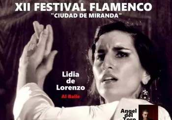XII FESTIVAL FLAMENCO 